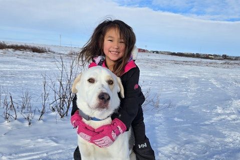 Pet Insurance